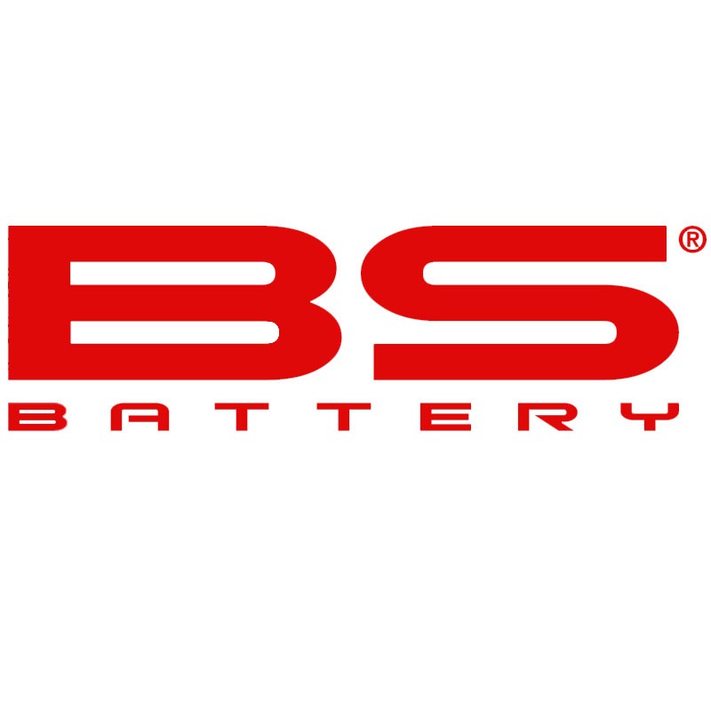 BS BATTERY